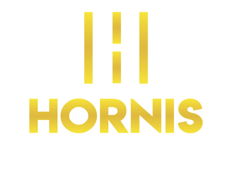hornis_fahrschule_sehnde_logo